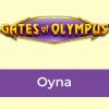 Gates of Olympus Oyna